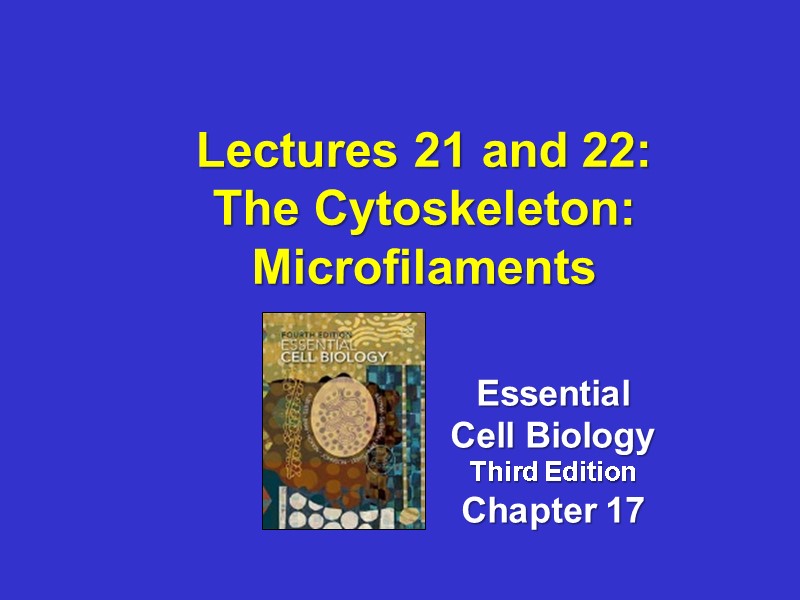 Lectures 21 and 22: The Cytoskeleton: Microfilaments Essential Cell Biology Third Edition Chapter 17 Lectures 21 and 22: The Cytoskeleton: Microfilaments Essential Cell Biology Third Edition Chapter 17